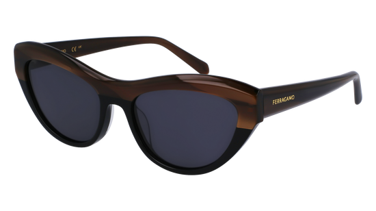 FERRAGAMO Sunglasses SF1103S 217 55