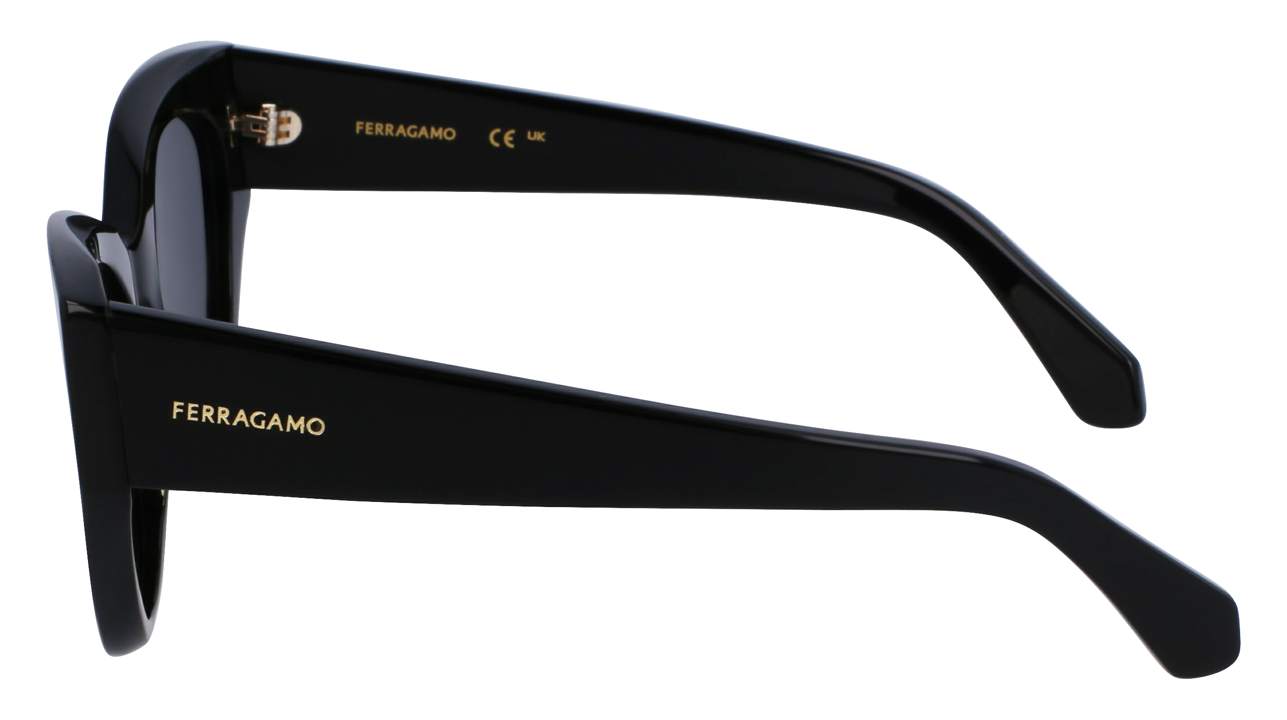 FERRAGAMO Sunglasses SF1107S 1 55