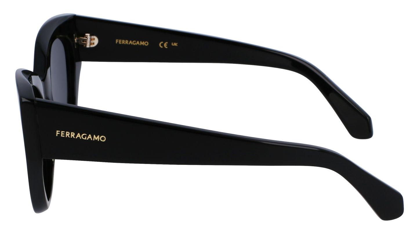 FERRAGAMO Sunglasses SF1107S 1 55