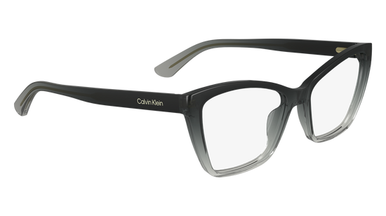 CALVIN KLEIN Eyeglasses CK24523 4 52