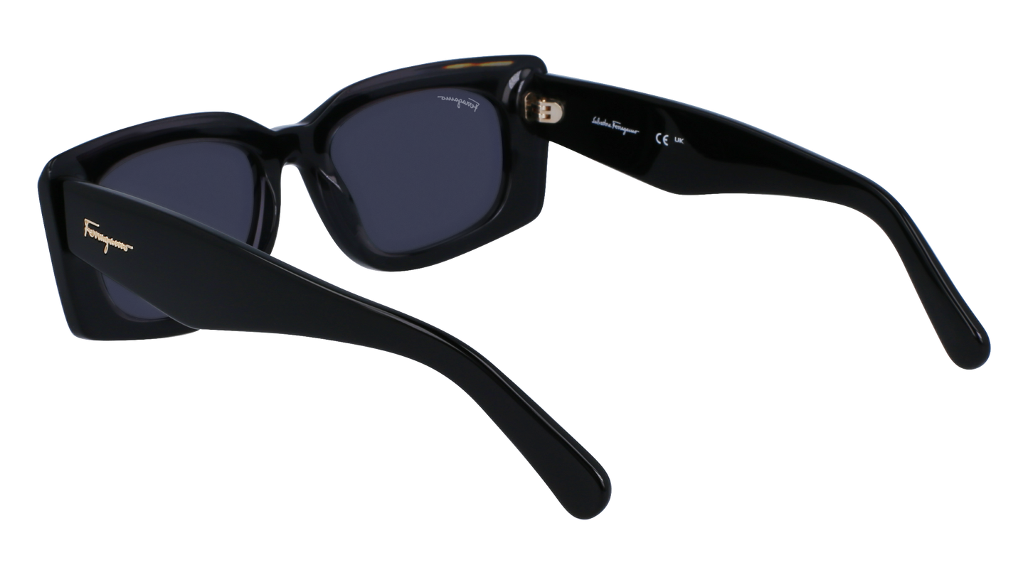 FERRAGAMO Sunglasses SF1079S 22 54