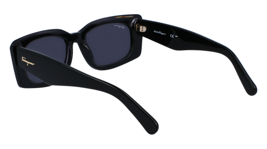 FERRAGAMO Sunglasses SF1079S 22 54