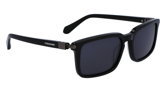 FERRAGAMO Sunglasses SF1110S 1 56