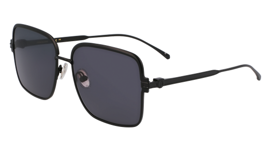 FERRAGAMO Sunglasses SF317S 2 57