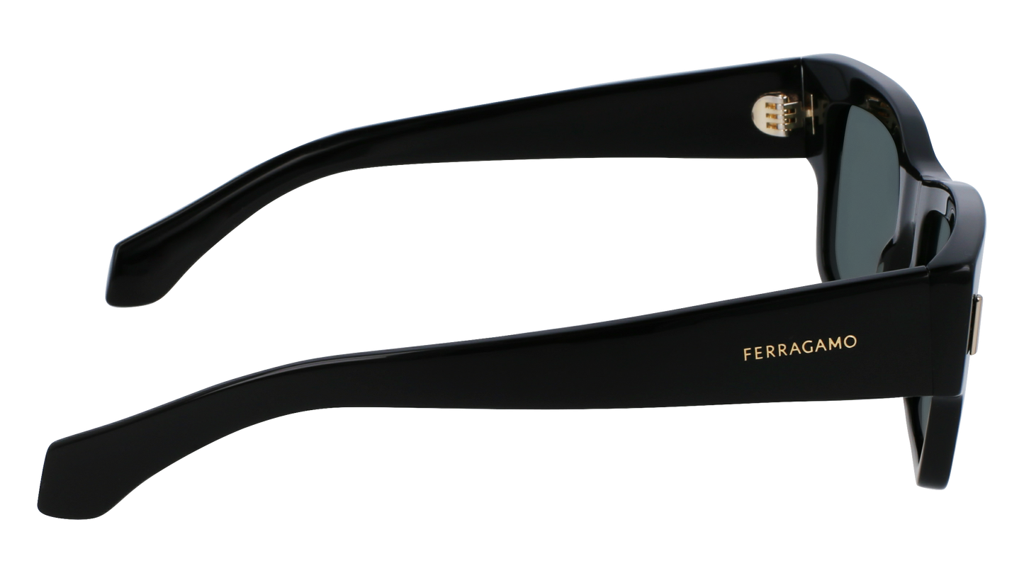 FERRAGAMO Sunglasses SF2011S 1 53