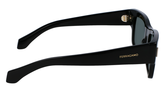 FERRAGAMO Sunglasses SF2011S 1 53