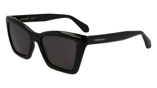 FERRAGAMO Sunglasses SF2039SE 1 53