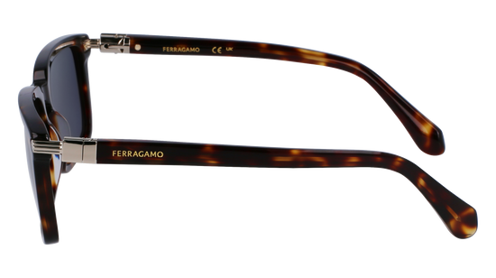 FERRAGAMO Sunglasses SF1110S 242 56