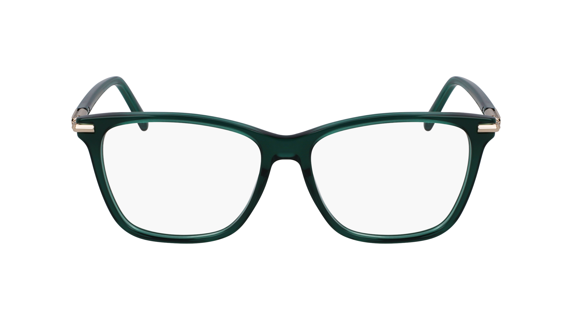 FERRAGAMO Eyeglasses SF3013 317 53