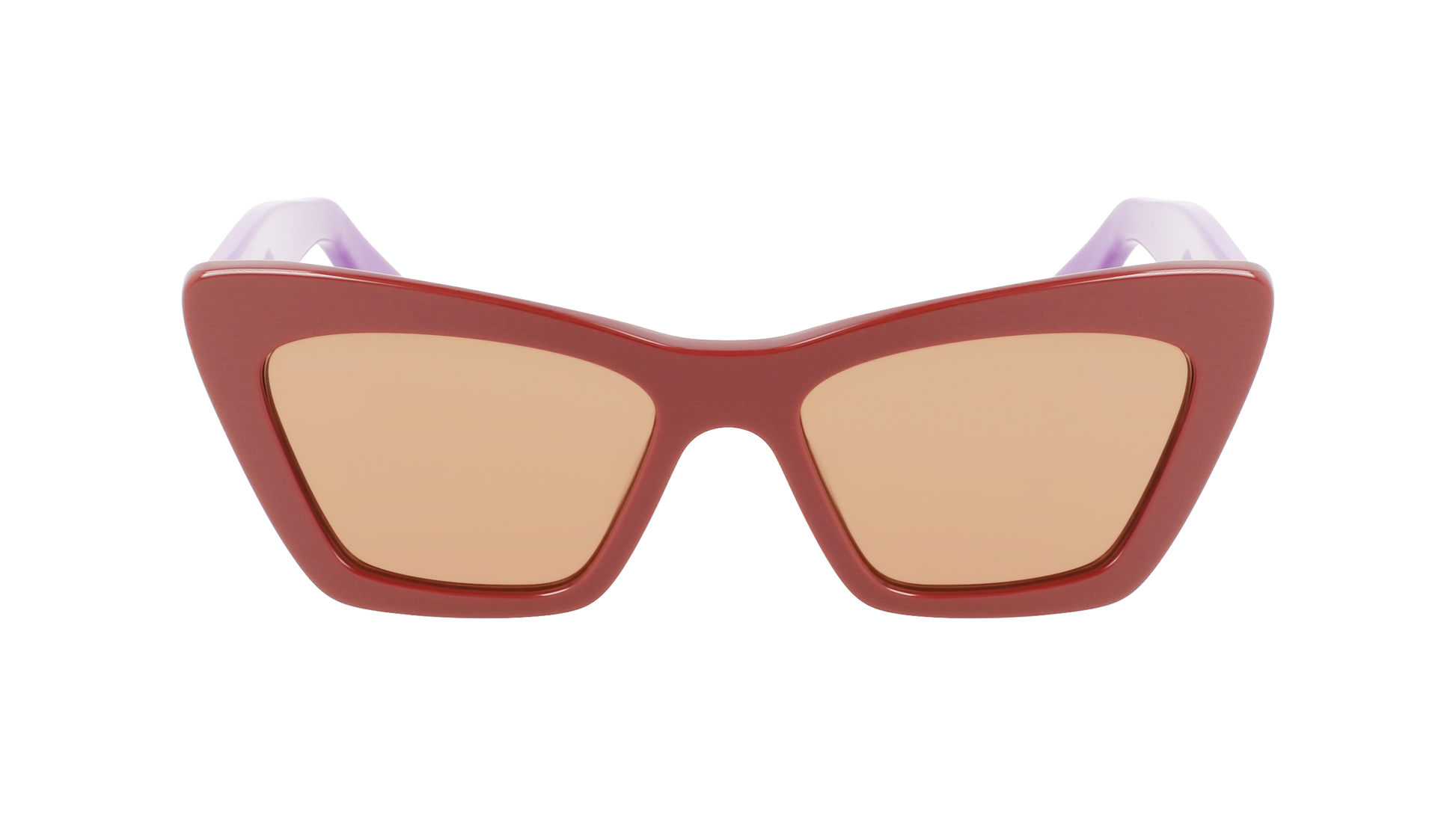 FERRAGAMO Sunglasses SF929S 209 55