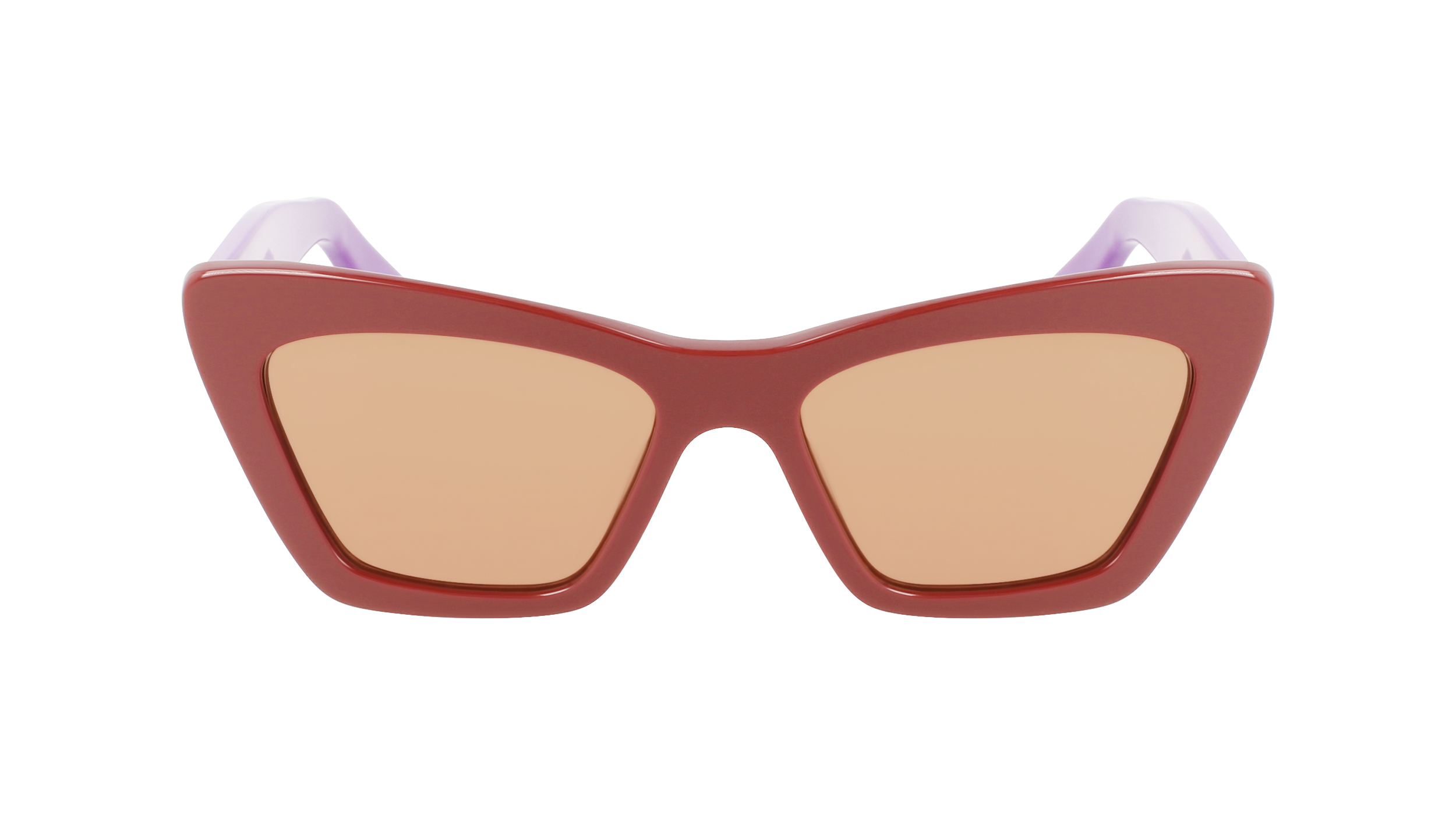 FERRAGAMO Sunglasses SF929S 209 55