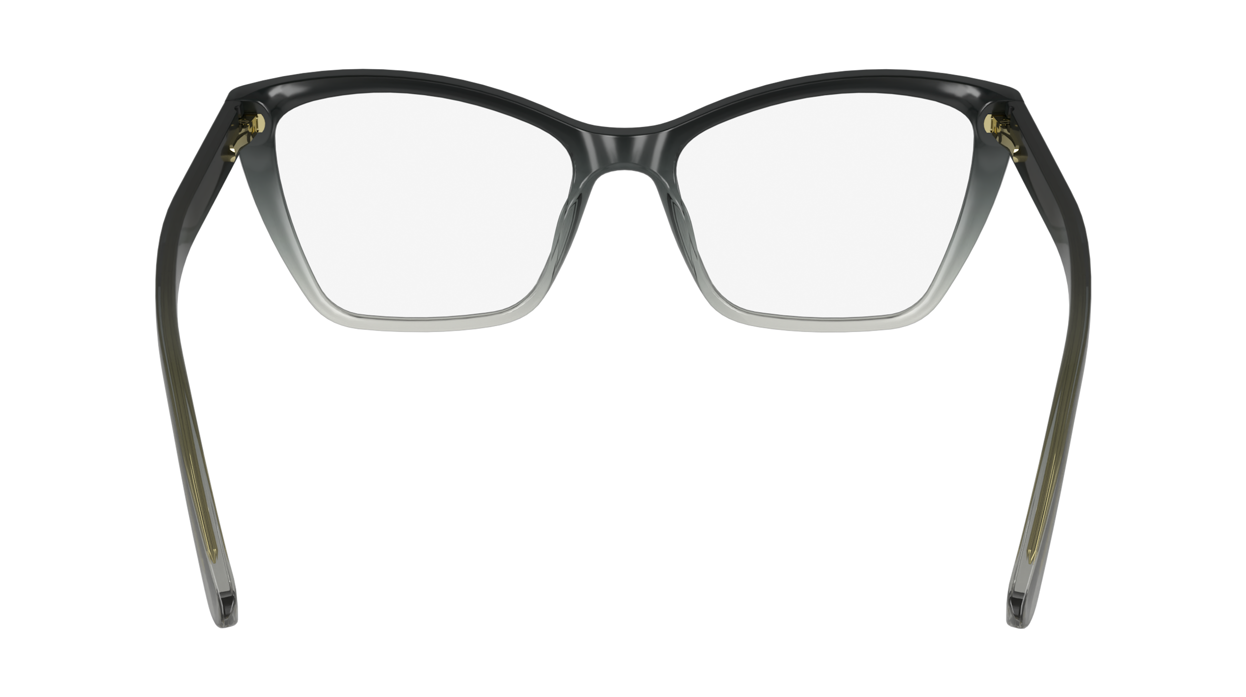 CALVIN KLEIN Eyeglasses CK24523 4 52