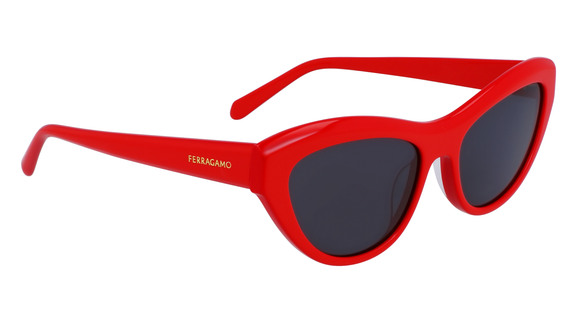 FERRAGAMO Sunglasses SF1103S 600 55