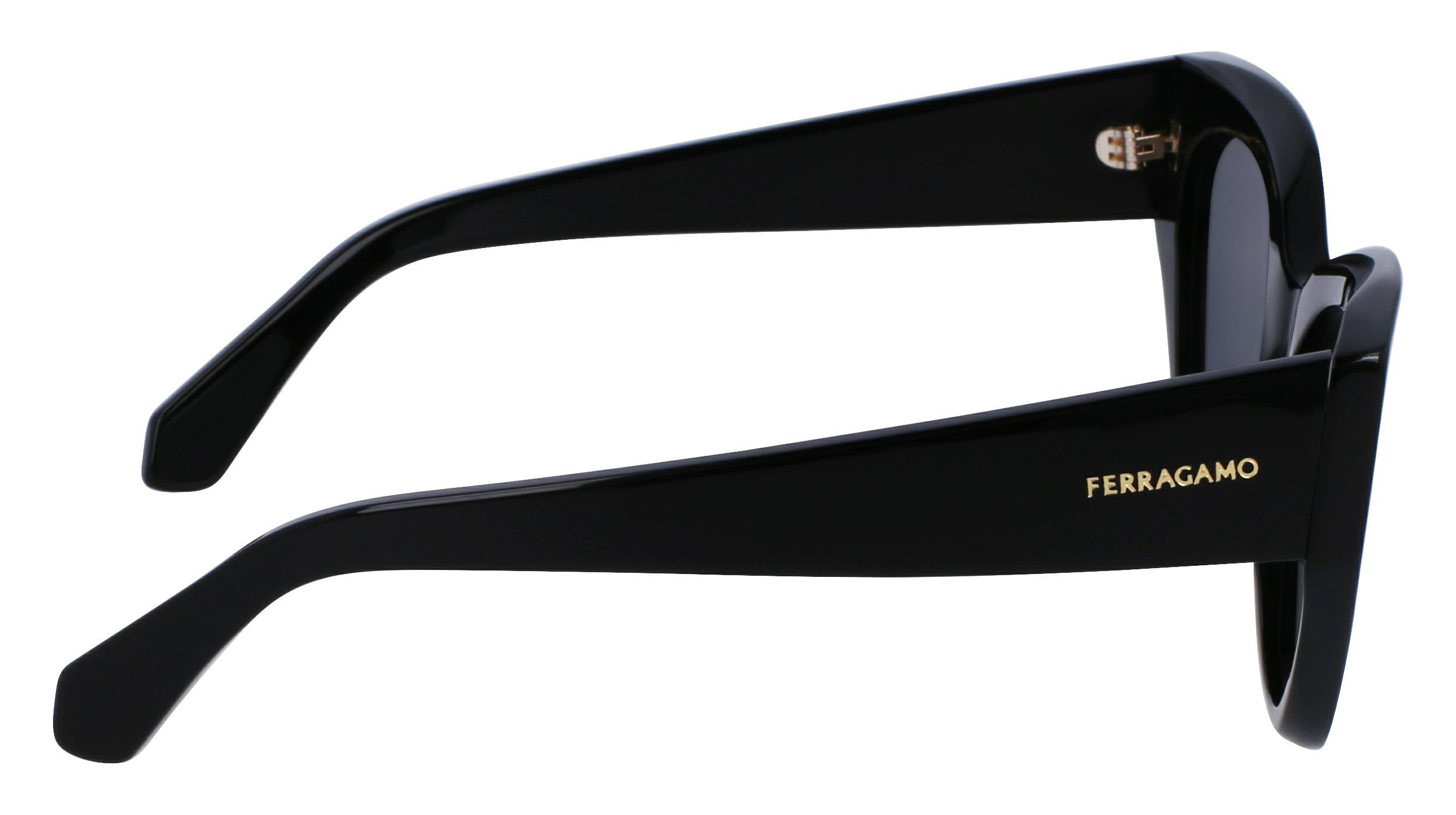 FERRAGAMO Sunglasses SF1107S 1 55