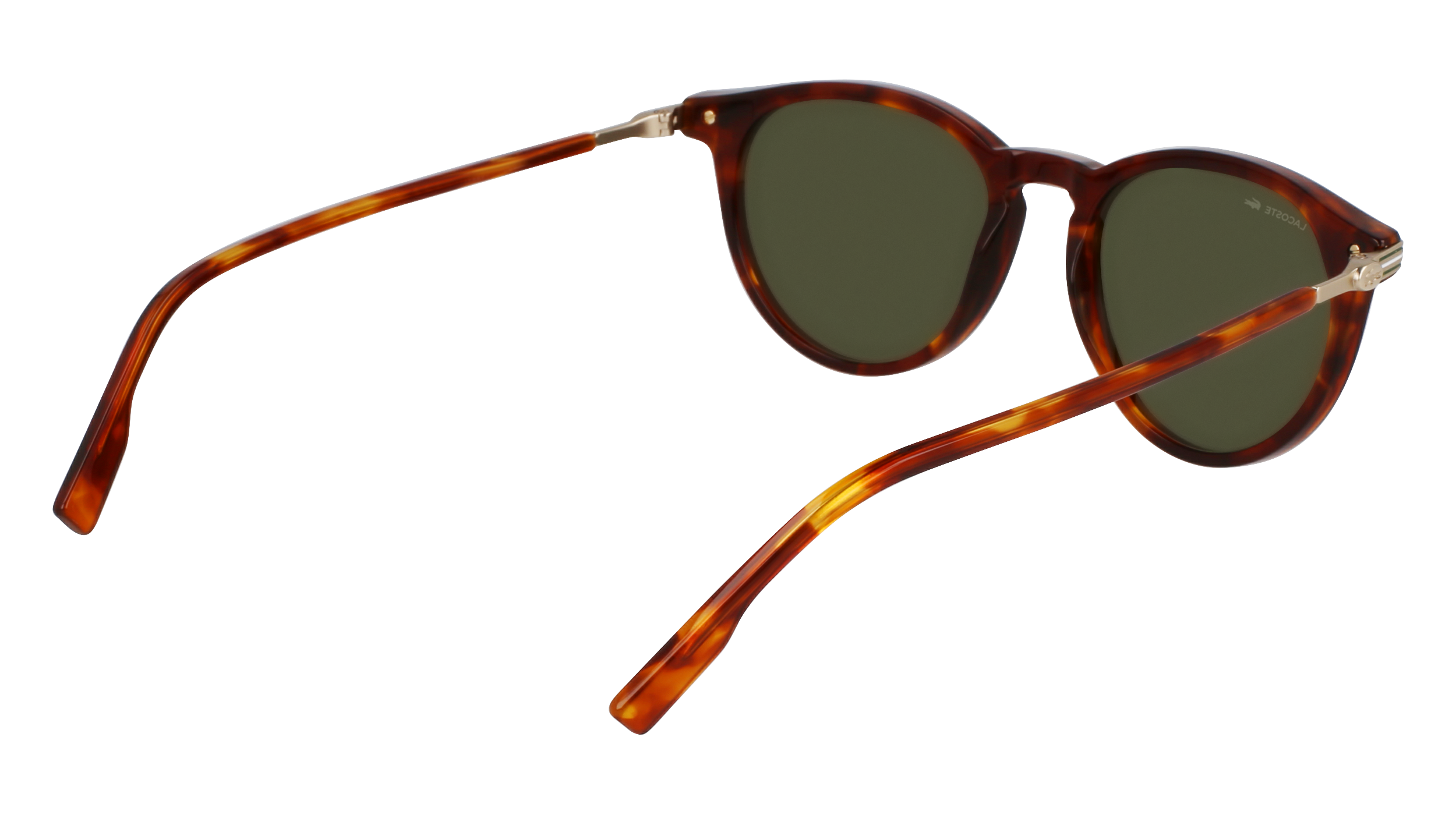 LACOSTE Sunglasses L6034S 218 51