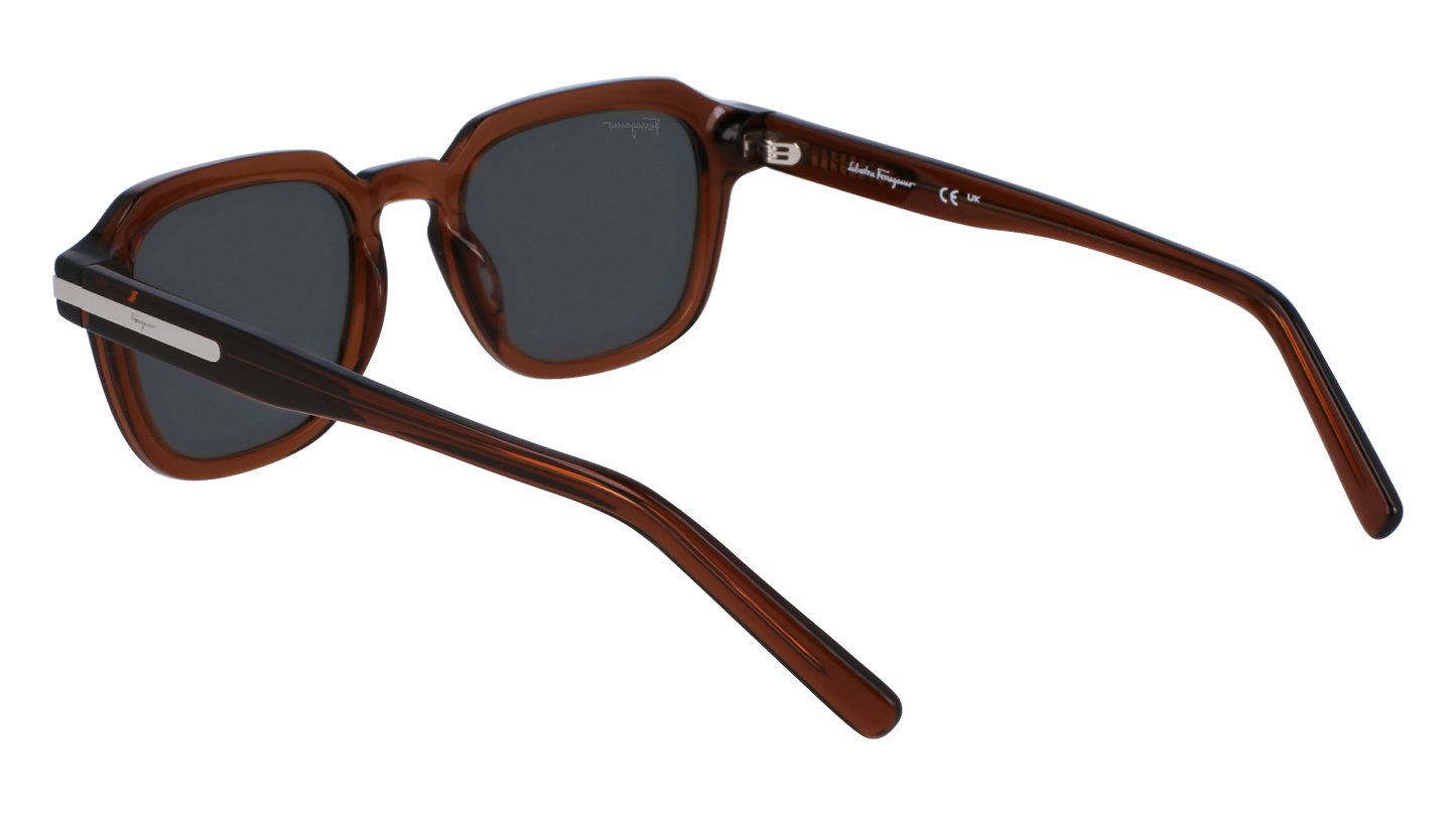 FERRAGAMO Sunglasses SF1089S 278 52