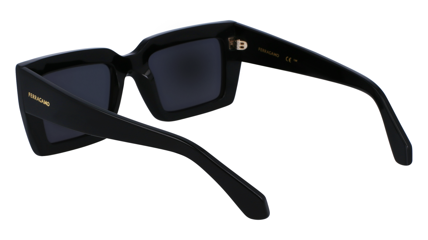 FERRAGAMO Sunglasses SF1108S 1 54