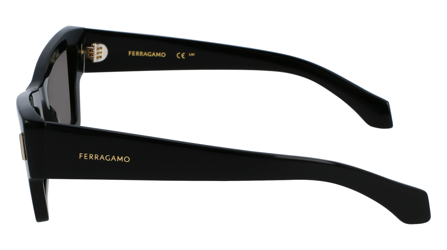 FERRAGAMO Sunglasses SF2006S 1 53