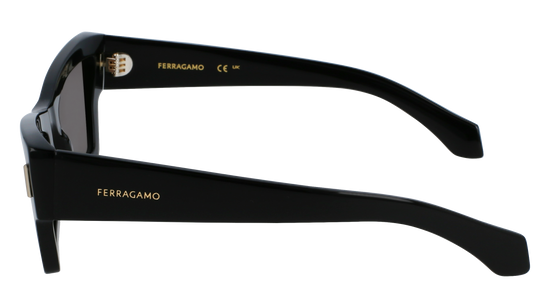 FERRAGAMO Sunglasses SF2006S 1 53