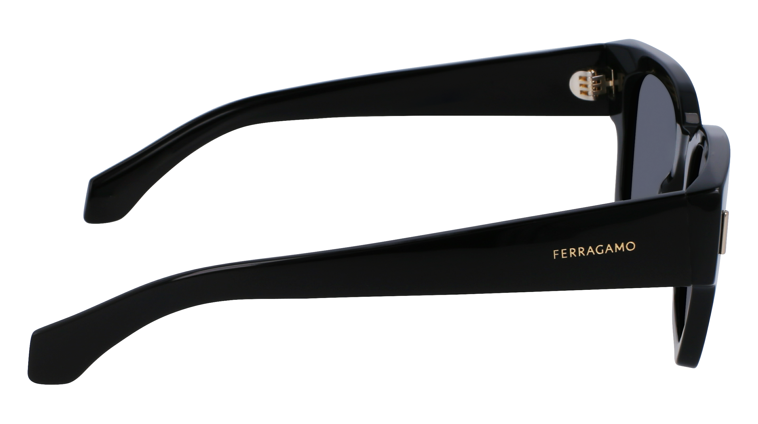 FERRAGAMO Sunglasses SF2010S 1 52