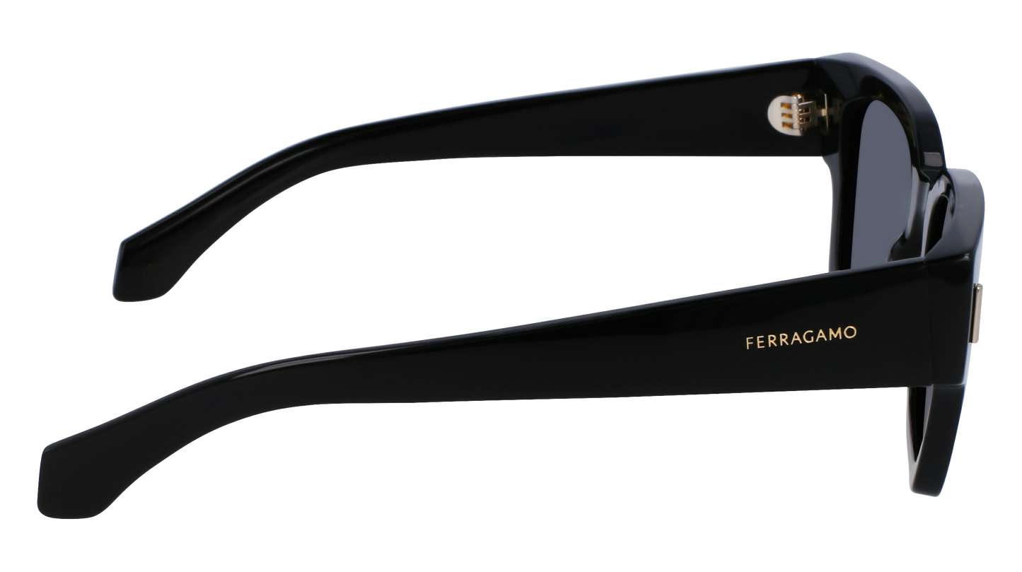 FERRAGAMO Sunglasses SF2010S 1 52