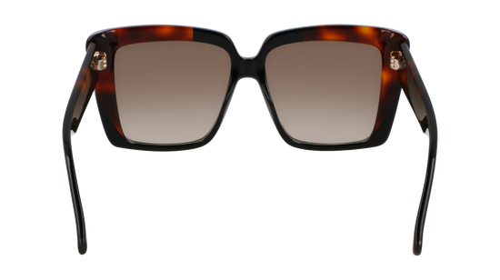 FERRAGAMO Sunglasses SF1060SN 6 55