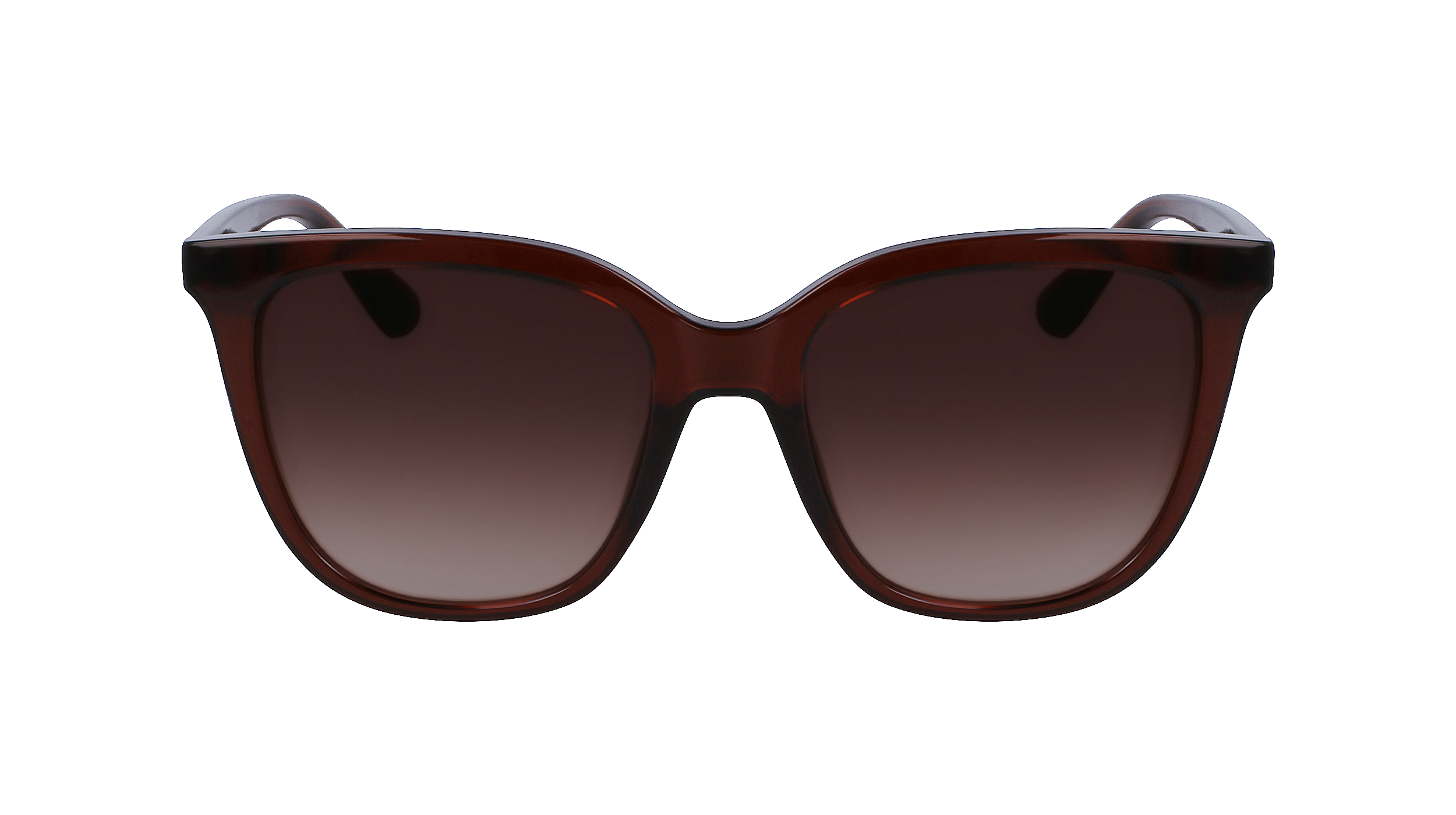 CALVIN KLEIN Sunglasses CK23506S 200 53