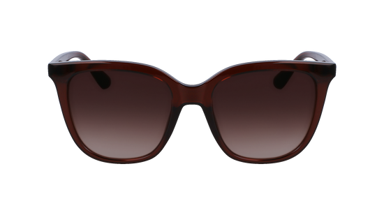 CALVIN KLEIN Sunglasses CK23506S 200 53