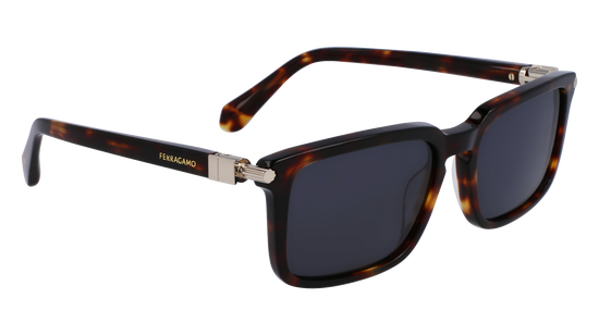 FERRAGAMO Sunglasses SF1110S 242 56