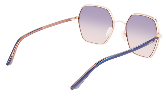 CALVIN KLEIN Sunglasses CK21131S 438 56