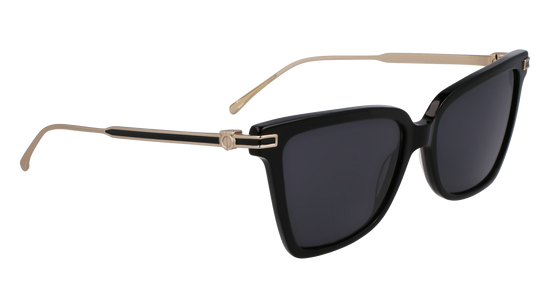 FERRAGAMO Sunglasses SF2036S 1 56