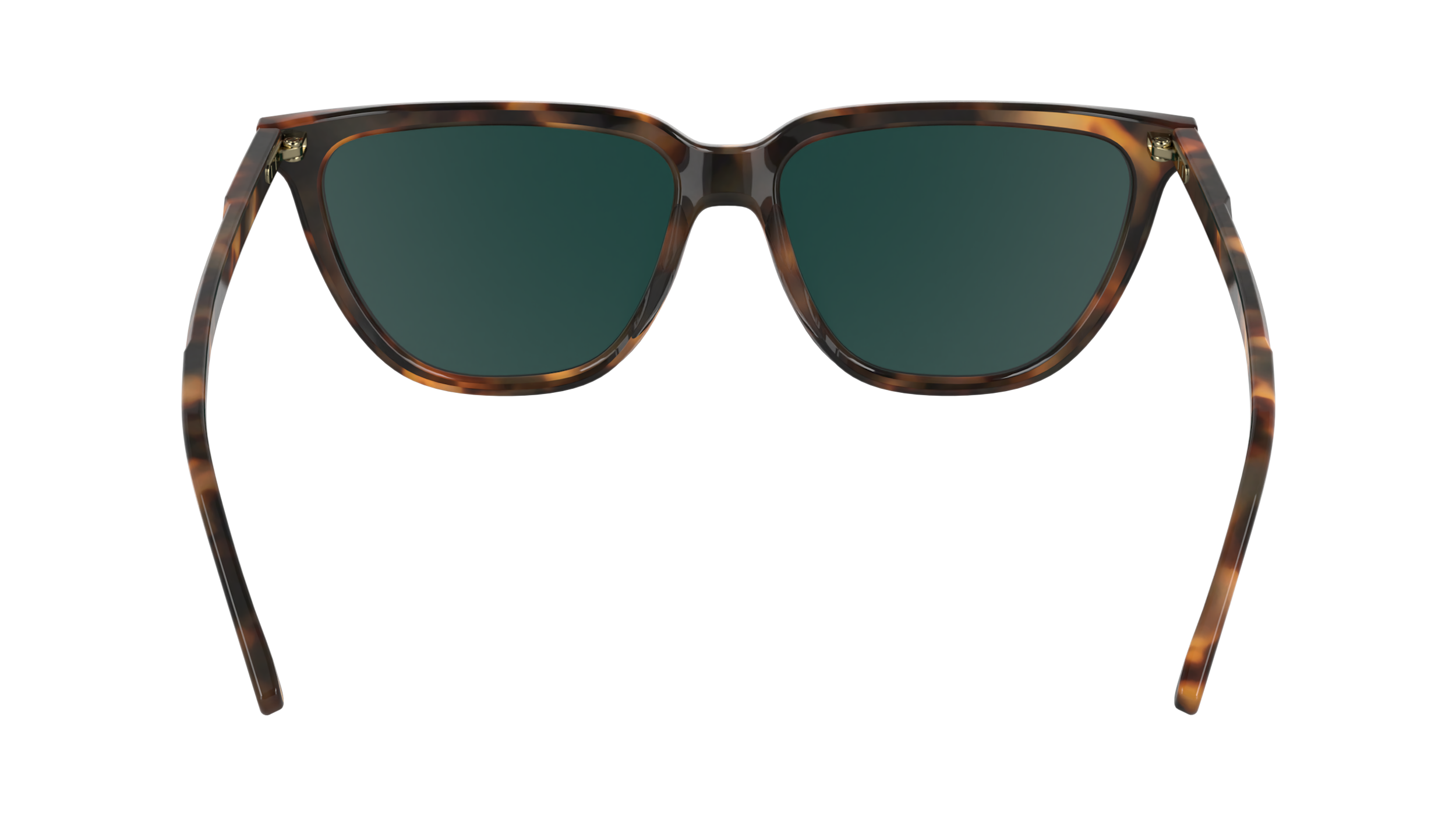 CALVIN KLEIN Sunglasses CK24537S 219 55