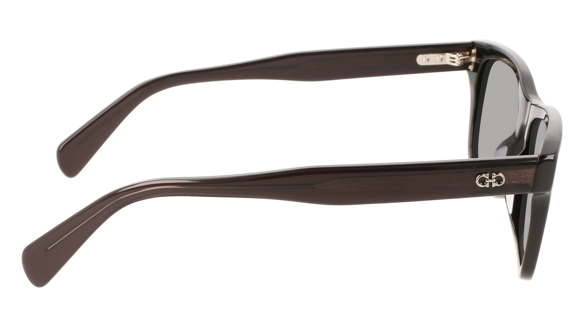 FERRAGAMO Sunglasses SF1039S 1 54