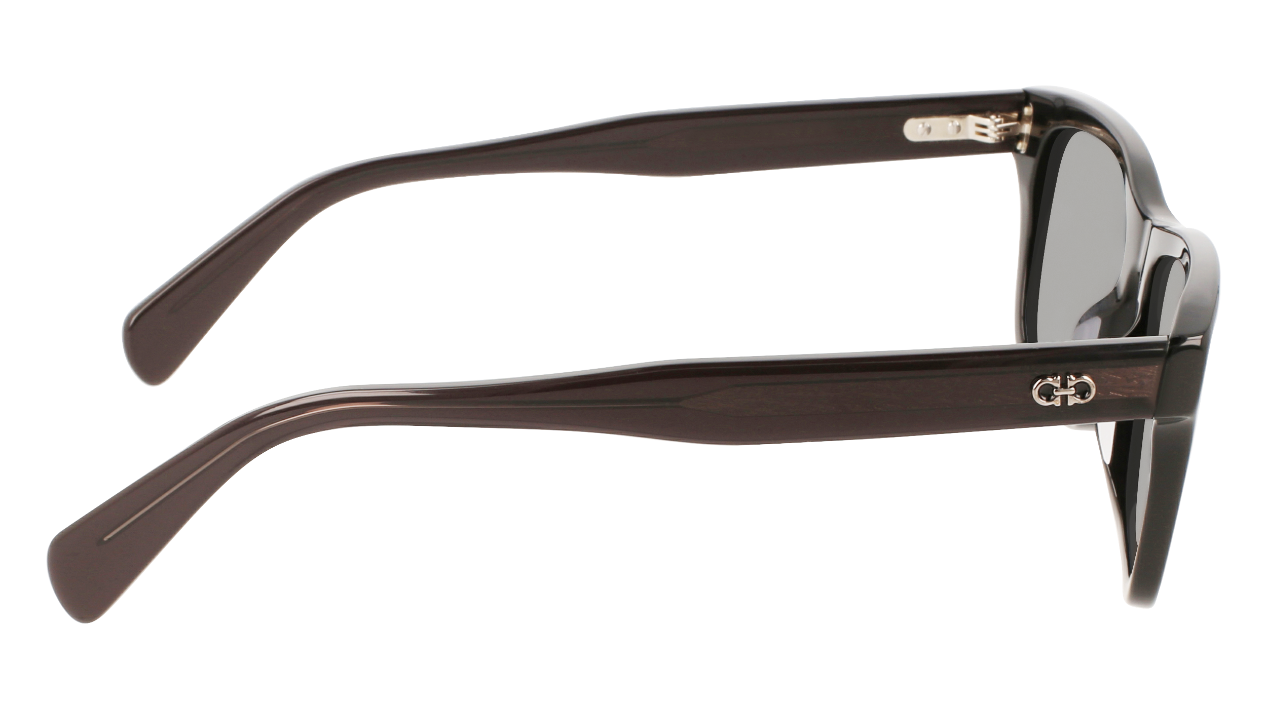 FERRAGAMO Sunglasses SF1039S 1 54