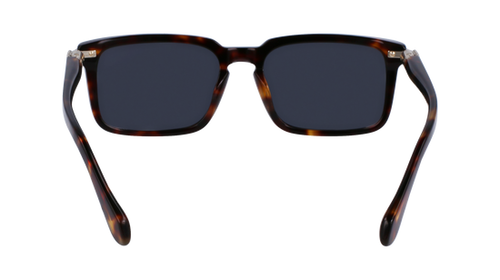 FERRAGAMO Sunglasses SF1110S 242 56