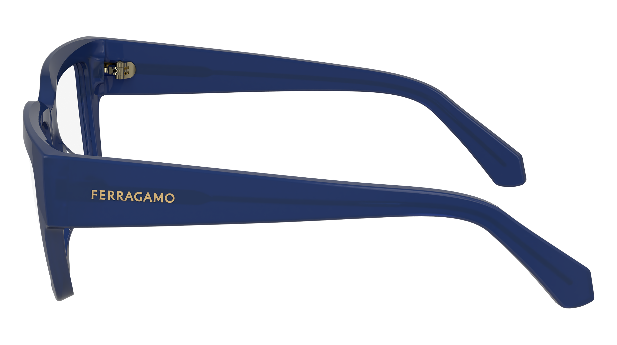 FERRAGAMO Eyeglasses SF2975 423 53