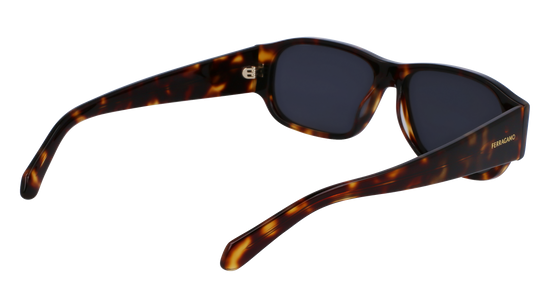 FERRAGAMO Sunglasses SF1109S 242 57