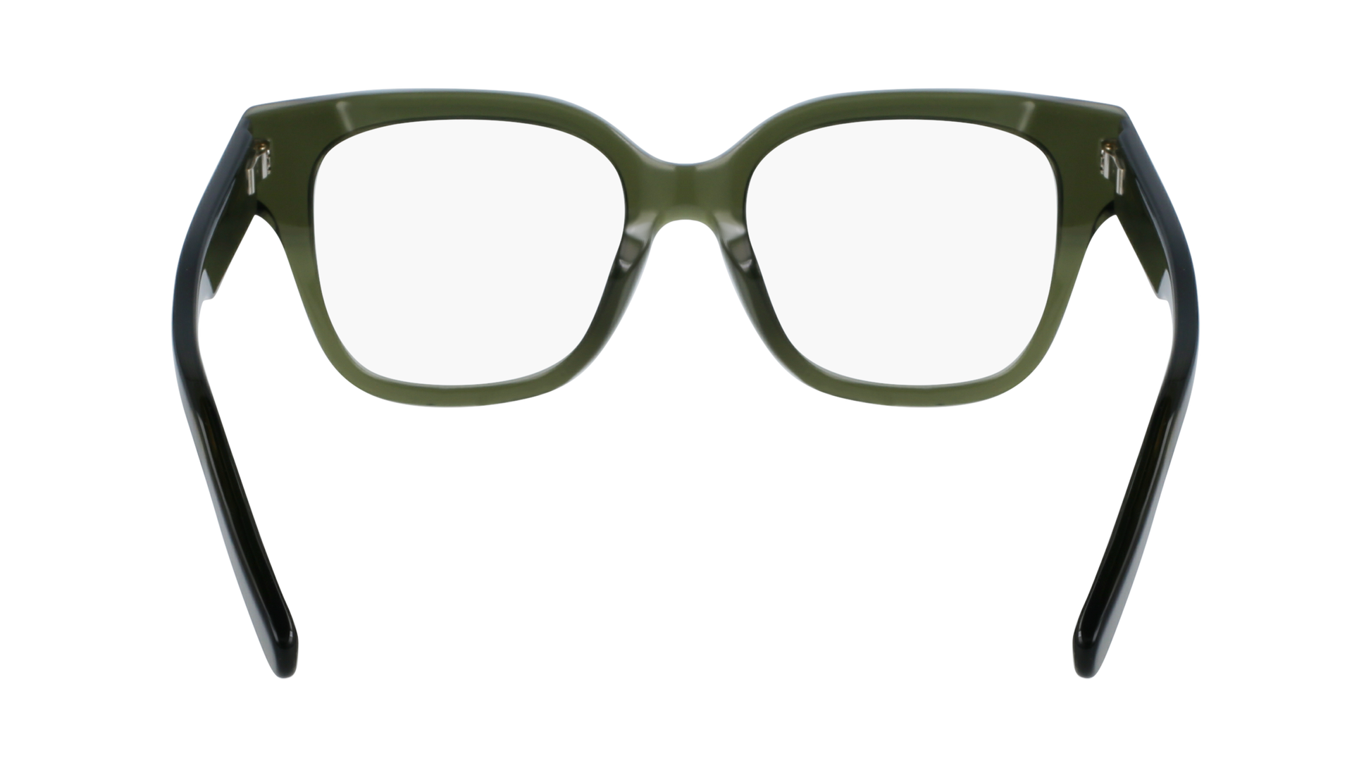 FERRAGAMO Eyeglasses SF2952N 320 53