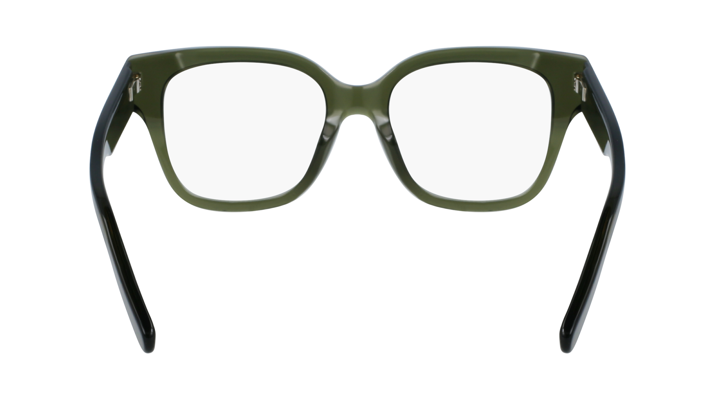 FERRAGAMO Eyeglasses SF2952N 320 53