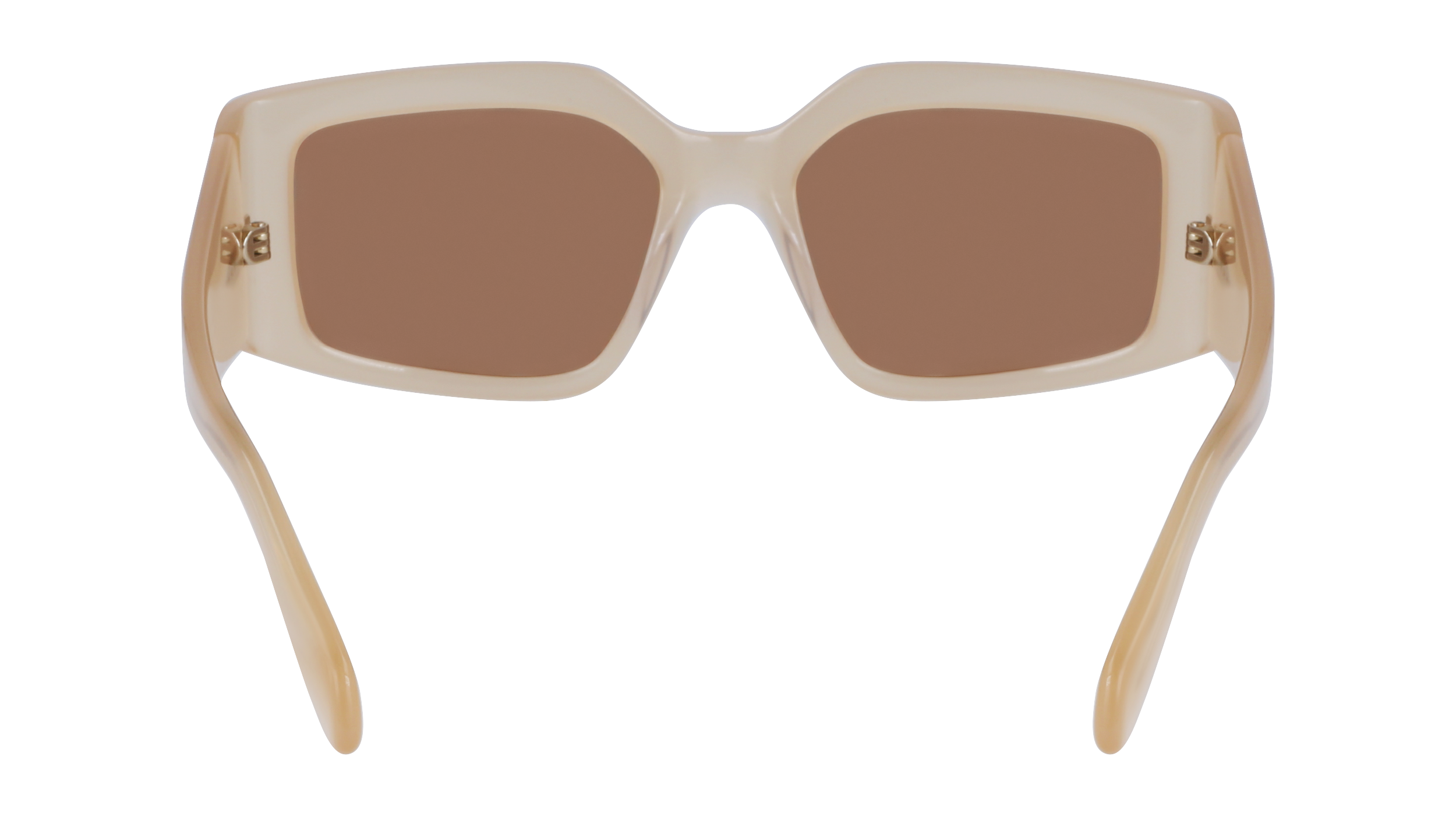 FERRAGAMO Sunglasses SF1101S 708 54