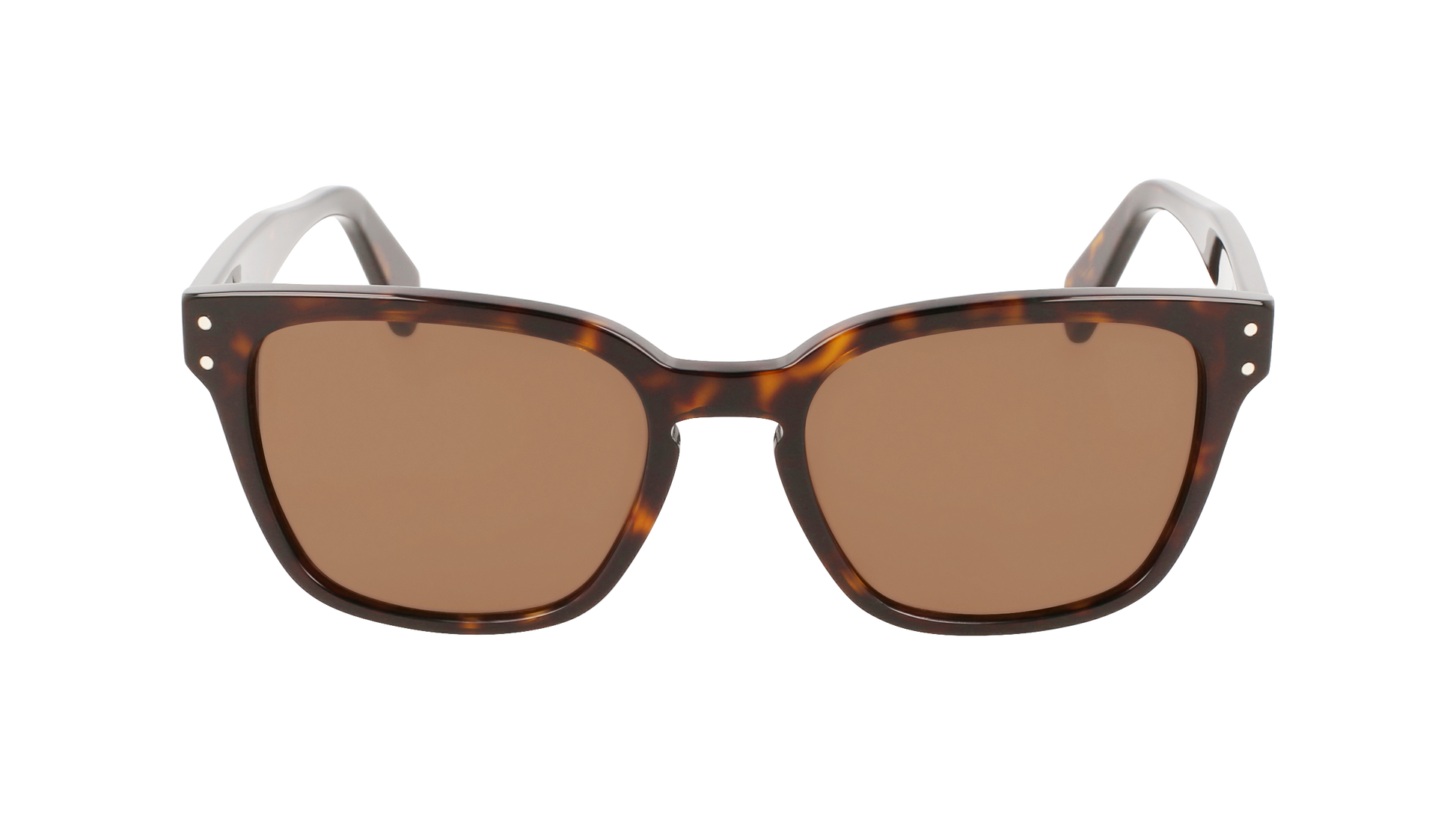 FERRAGAMO Sunglasses SF1040S 240 55