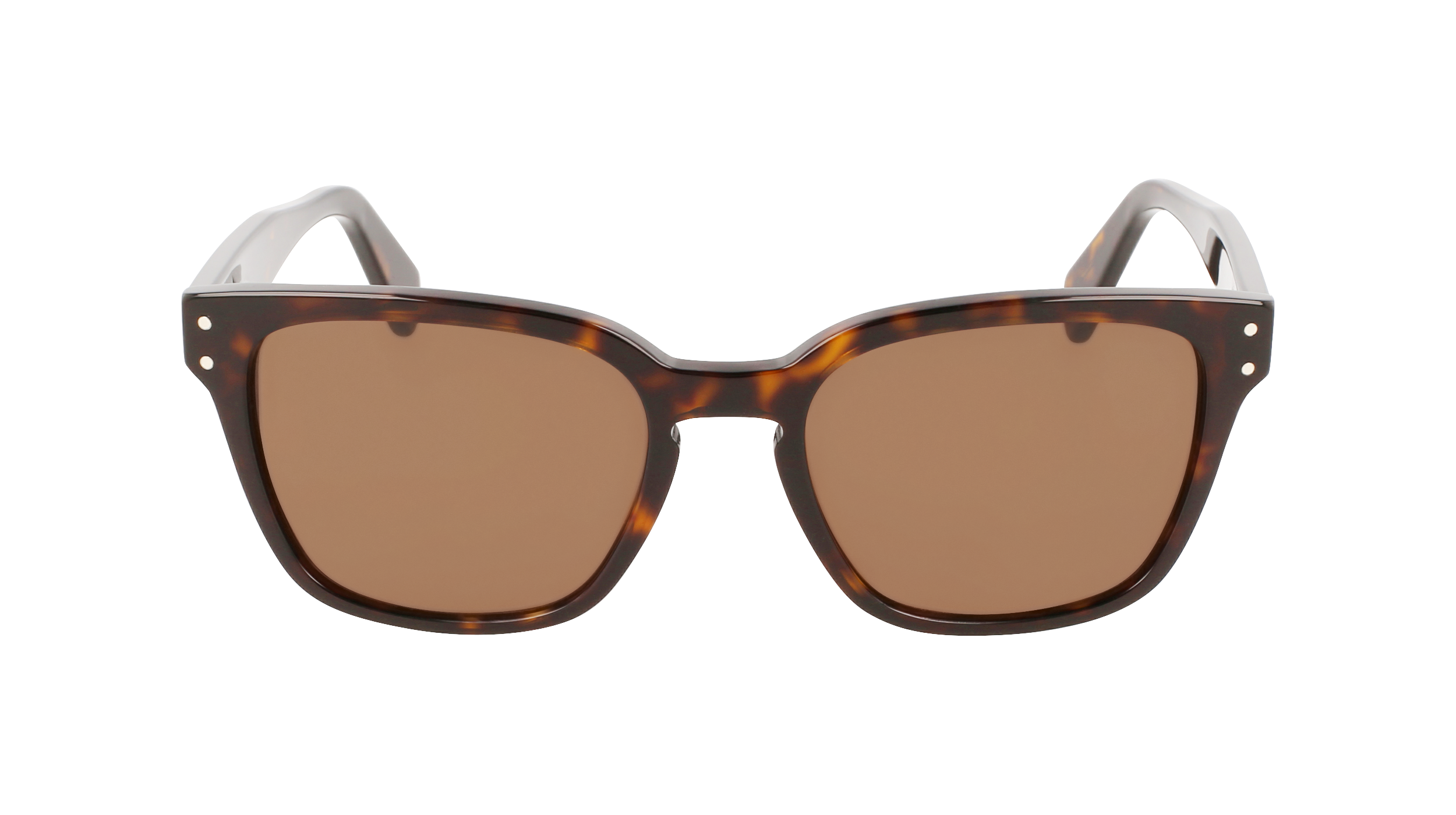 FERRAGAMO Sunglasses SF1040S 240 55