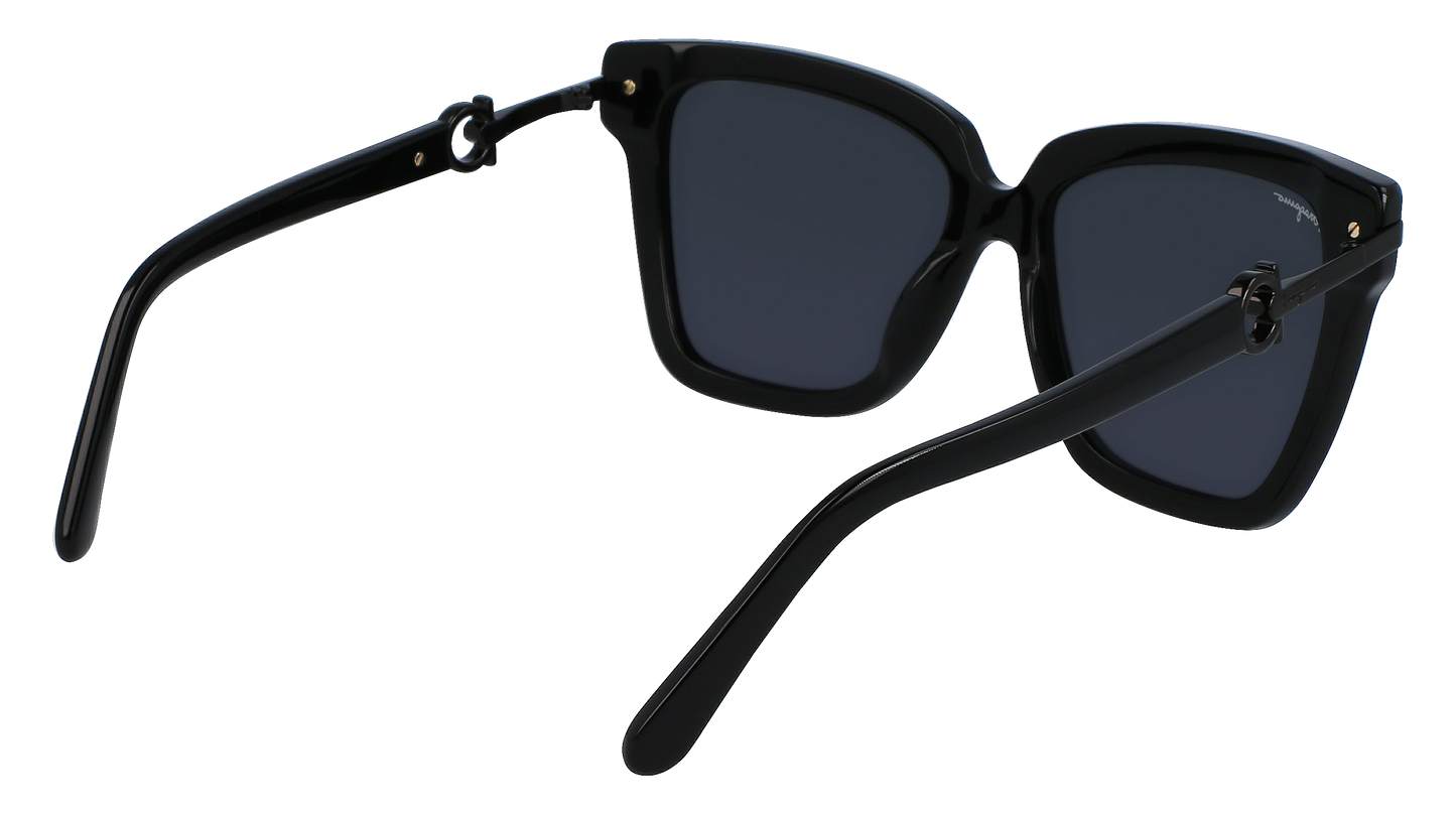 FERRAGAMO Sunglasses SF1085S 1 57