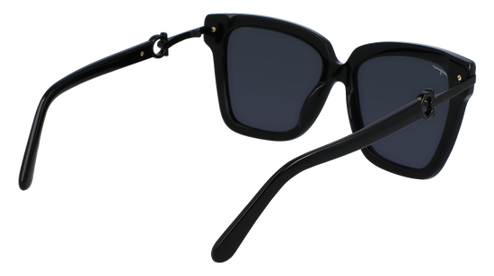 FERRAGAMO Sunglasses SF1085S 1 57