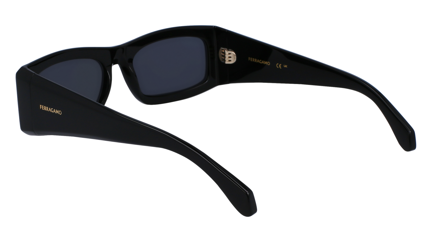 FERRAGAMO Sunglasses SF2012S 1 57