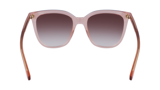 CALVIN KLEIN Sunglasses CK23506S 601 53