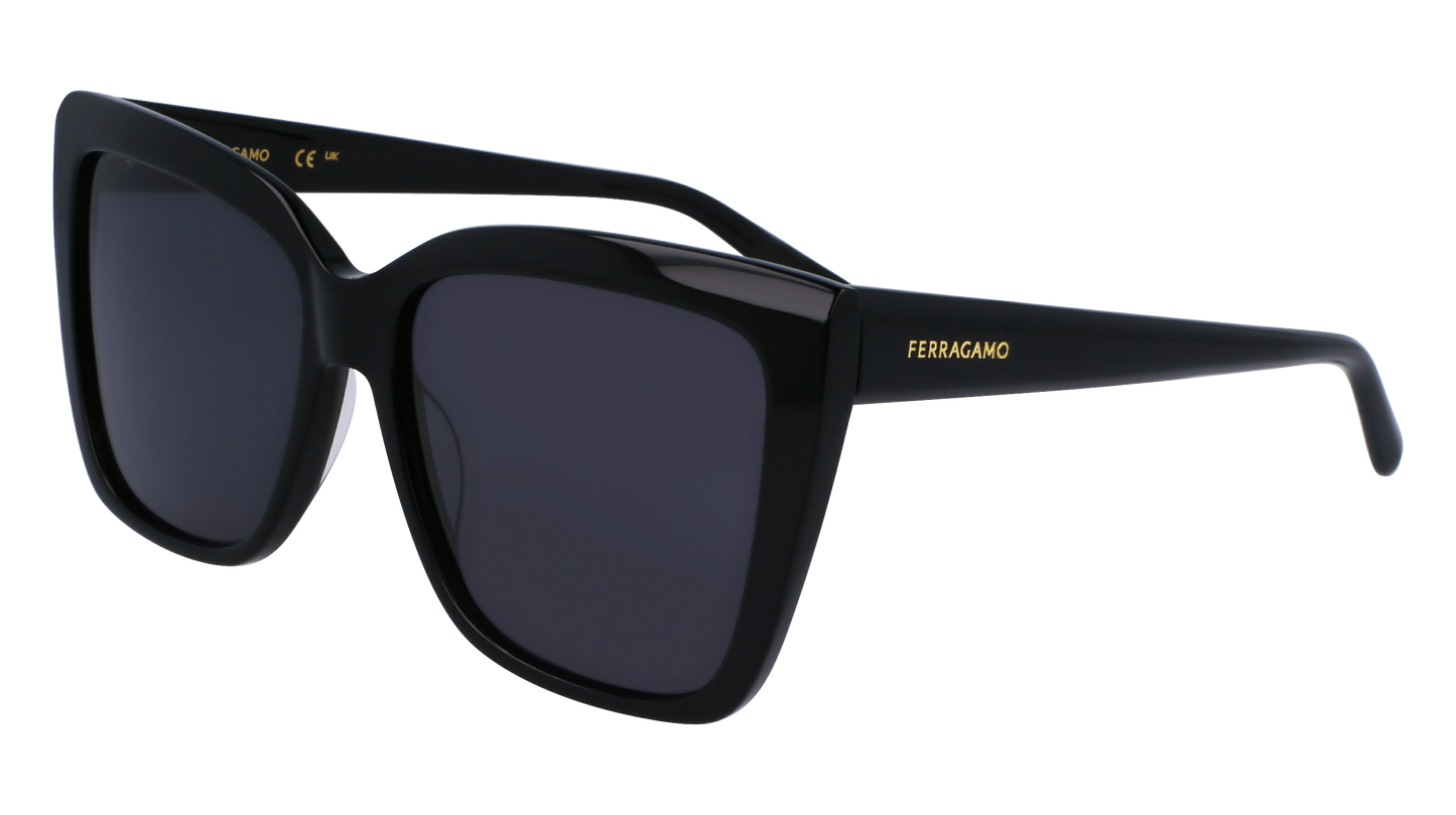 FERRAGAMO Sunglasses SF1102S 1 58