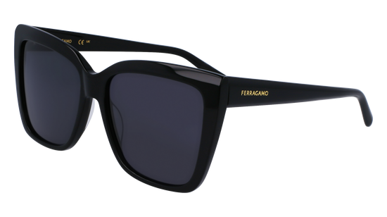 FERRAGAMO Sunglasses SF1102S 1 58