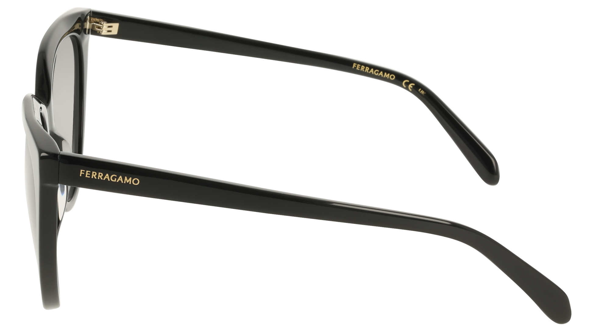 Ferragamo SF2101S 1