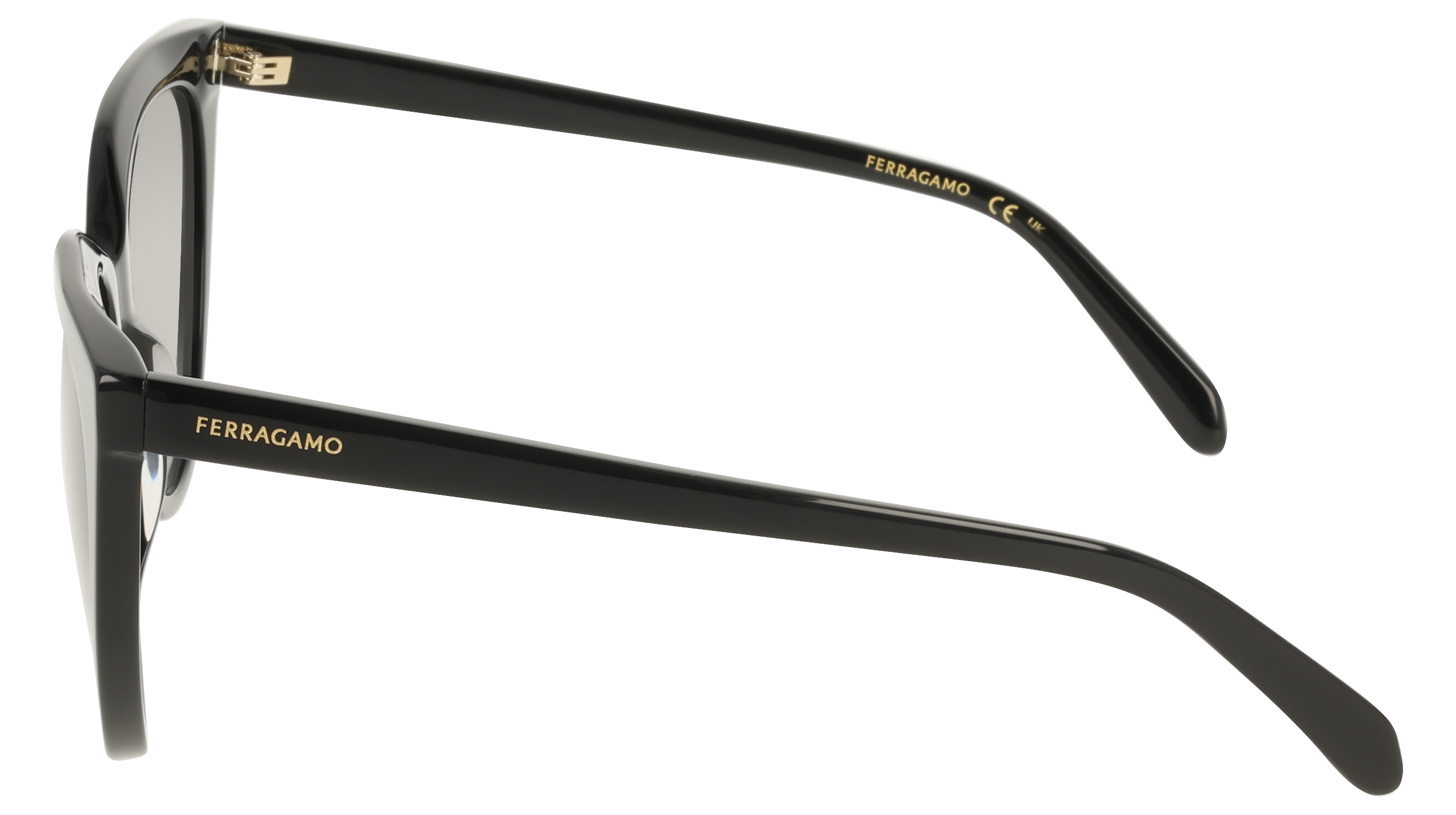 Ferragamo SF2101S 1